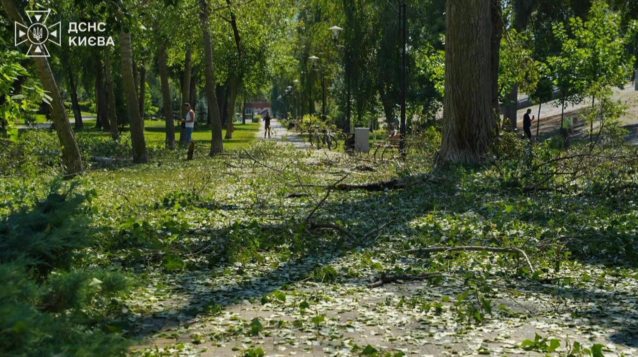 Атака 224 дронів 29 серпня: пояснення Повітряних сил ЗСУ про удар по Києву